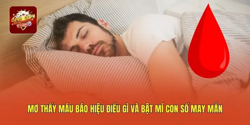 Mơ Thấy Máu Báo Hiệu Điều Gì Và Bật Mí Con Số May Mắn